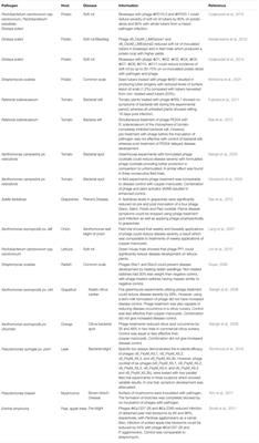 Bacteriophages and Bacterial Plant Diseases